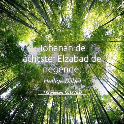 Picture 05 - 1 Kronieken 12:12 NLD - Johanan de achtste; Elzabad de - Bible Verse Picture