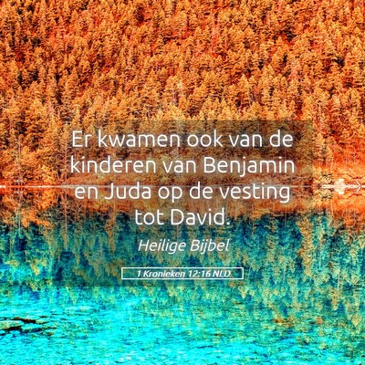 Picture 05 - 1 Kronieken 12:16 NLD - Er kwamen ook van de kinderen van Benjamin en - Bible Verse Picture
