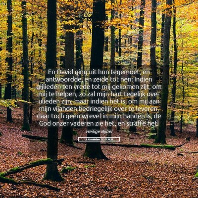 Picture 05 - 1 Kronieken 12:17 NLD - En David ging uit hun tegemoet, en antwoordde, en - Bible Verse Picture