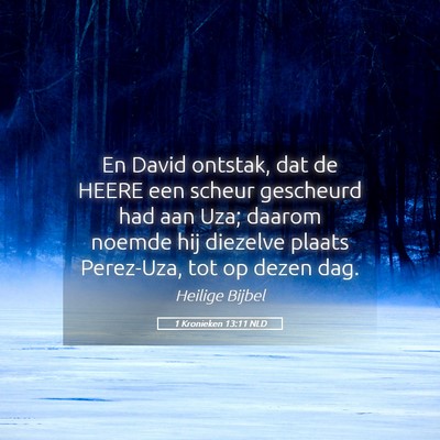 Picture 05 - 1 Kronieken 13:11 NLD - En David ontstak, dat de HEERE een scheur - Bible Verse Picture