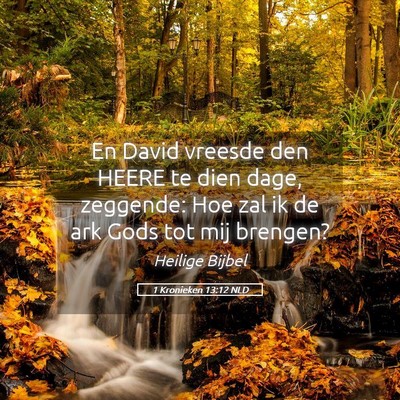 Picture 05 - 1 Kronieken 13:12 NLD - En David vreesde den HEERE te dien dage, - Bible Verse Picture