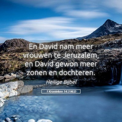 Picture 05 - 1 Kronieken 14:3 NLD - En David nam meer vrouwen te Jeruzalem, en David - Bible Verse Picture