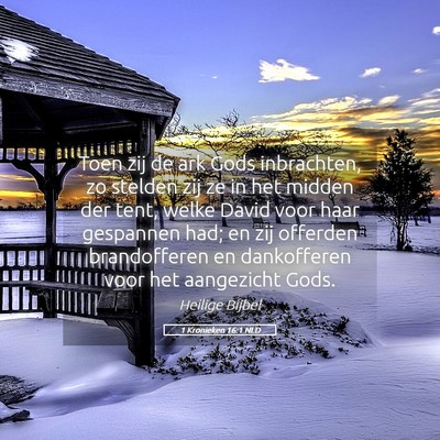 Picture 05 - 1 Kronieken 16:1 NLD - Toen zij de ark Gods inbrachten, zo stelden zij - Bible Verse Picture