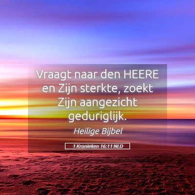 Picture 05 - 1 Kronieken 16:11 NLD - Vraagt naar den HEERE en Zijn sterkte, zoekt Zijn - Bible Verse Picture