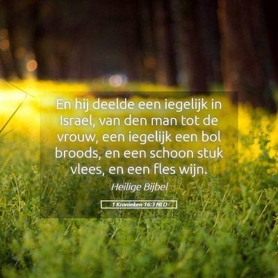 Picture 05 - 1 Kronieken 16:3 NLD - En hij deelde een iegelijk in Israel, van den man - Bible Verse Picture