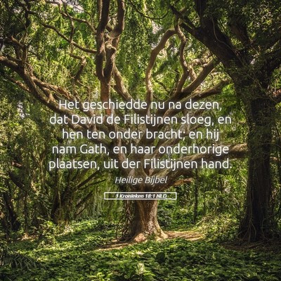 Picture 05 - 1 Kronieken 18:1 NLD - Het geschiedde nu na dezen, dat David de - Bible Verse Picture