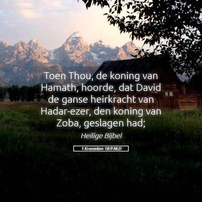 Picture 05 - 1 Kronieken 18:9 NLD - Toen Thou, de koning van Hamath, hoorde, dat - Bible Verse Picture