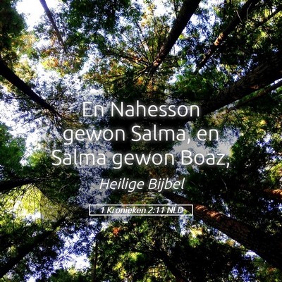 Picture 05 - 1 Kronieken 2:11 NLD - En Nahesson gewon Salma, en Salma gewon - Bible Verse Picture