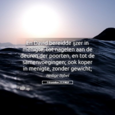 Picture 05 - 1 Kronieken 22:3 NLD - En David bereidde ijzer in menigte, tot nagelen - Bible Verse Picture