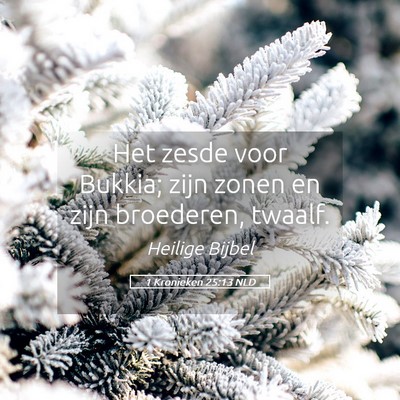 Picture 05 - 1 Kronieken 25:13 NLD - Het zesde voor Bukkia; zijn zonen en zijn - Bible Verse Picture