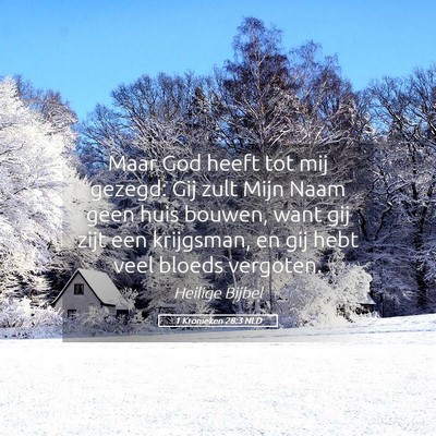 Picture 05 - 1 Kronieken 28:3 NLD - Maar God heeft tot mij gezegd: Gij zult Mijn Naam - Bible Verse Picture