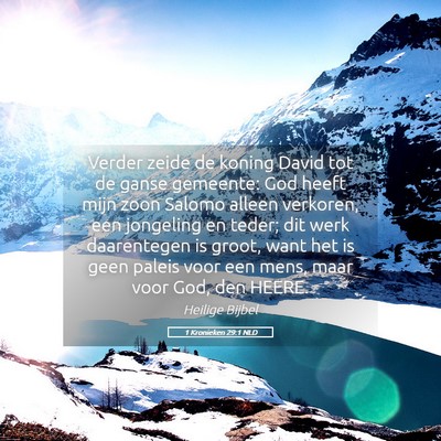 Picture 05 - 1 Kronieken 29:1 NLD - Verder zeide de koning David tot de ganse - Bible Verse Picture