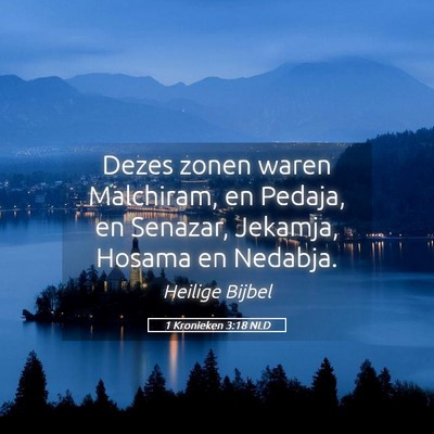Picture 05 - 1 Kronieken 3:18 NLD - Dezes zonen waren Malchiram, en Pedaja, en - Bible Verse Picture