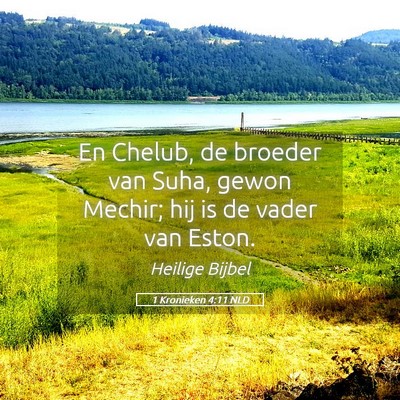 Picture 05 - 1 Kronieken 4:11 NLD - En Chelub, de broeder van Suha, gewon Mechir; hij - Bible Verse Picture