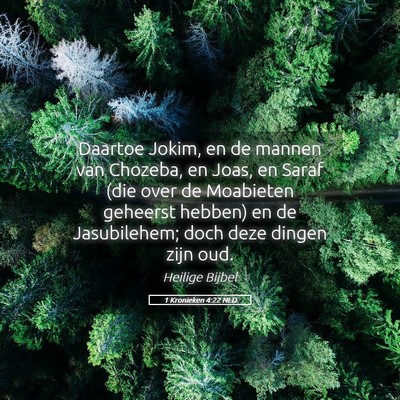 Picture 05 - 1 Kronieken 4:22 NLD - Daartoe Jokim, en de mannen van Chozeba, en Joas, - Bible Verse Picture