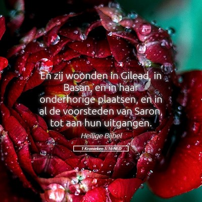 Picture 05 - 1 Kronieken 5:16 NLD - En zij woonden in Gilead, in Basan, en in haar - Bible Verse Picture