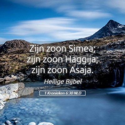 Picture 05 - 1 Kronieken 6:30 NLD - Zijn zoon Simea; zijn zoon Haggija; zijn zoon - Bible Verse Picture
