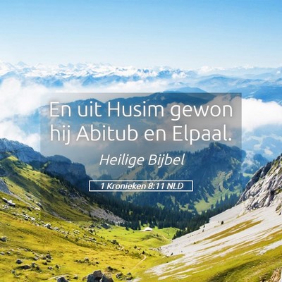 Picture 05 - 1 Kronieken 8:11 NLD - En uit Husim gewon hij Abitub en - Bible Verse Picture
