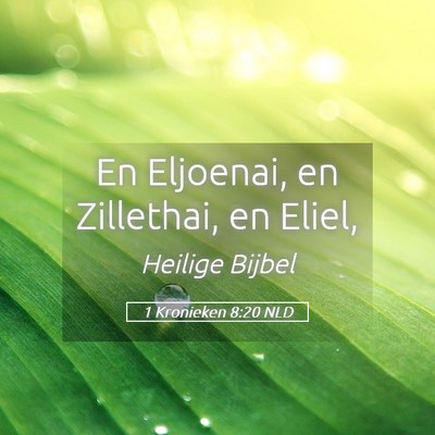 Picture 05 - 1 Kronieken 8:20 NLD - En Eljoenai, en Zillethai, en - Bible Verse Picture
