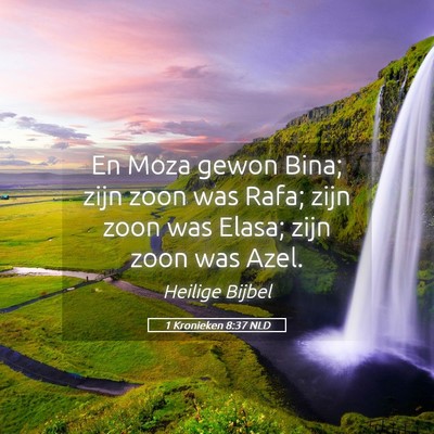 Picture 05 - 1 Kronieken 8:37 NLD - En Moza gewon Bina; zijn zoon was Rafa; zijn zoon - Bible Verse Picture