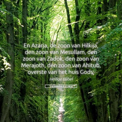Picture 05 - 1 Kronieken 9:11 NLD - En Azarja, de zoon van Hilkija, den zoon van - Bible Verse Picture
