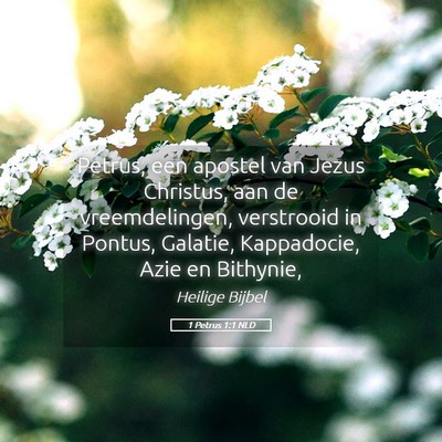 Picture 05 - 1 Petrus 1:1 NLD - Petrus, een apostel van Jezus Christus, aan de - Bible Verse Picture