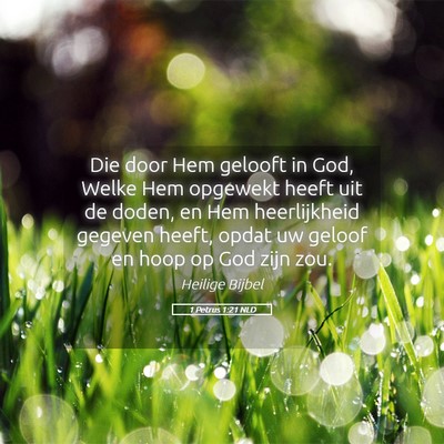 Picture 05 - 1 Petrus 1:21 NLD - Die door Hem gelooft in God, Welke Hem opgewekt - Bible Verse Picture