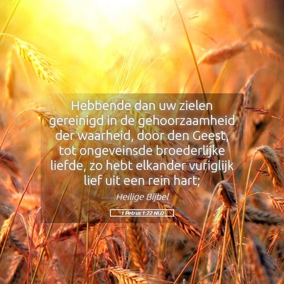 Picture 05 - 1 Petrus 1:22 NLD - Hebbende dan uw zielen gereinigd in de - Bible Verse Picture