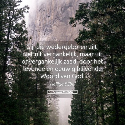 Picture 05 - 1 Petrus 1:23 NLD - Gij, die wedergeboren zijt, niet uit - Bible Verse Picture