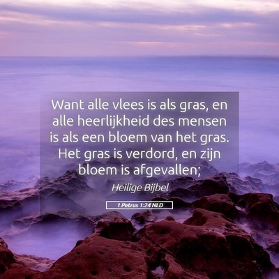Picture 05 - 1 Petrus 1:24 NLD - Want alle vlees is als gras, en alle heerlijkheid - Bible Verse Picture
