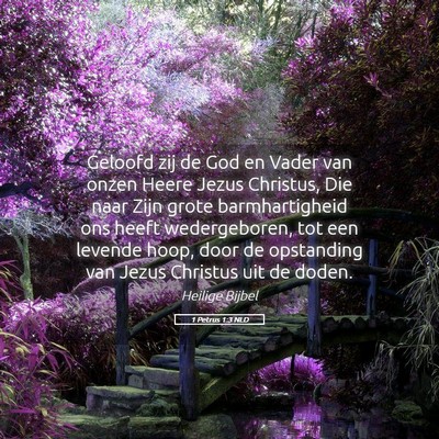 Picture 05 - 1 Petrus 1:3 NLD - Geloofd zij de God en Vader van onzen Heere Jezus - Bible Verse Picture