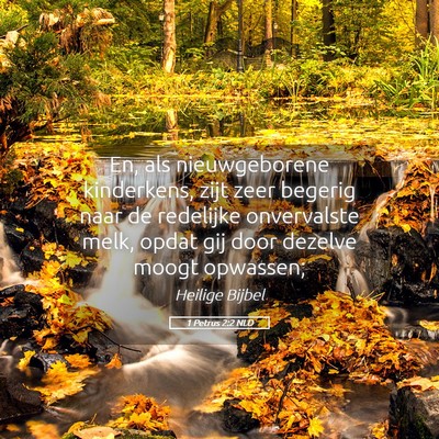 Picture 05 - 1 Petrus 2:2 NLD - En, als nieuwgeborene kinderkens, zijt zeer - Bible Verse Picture