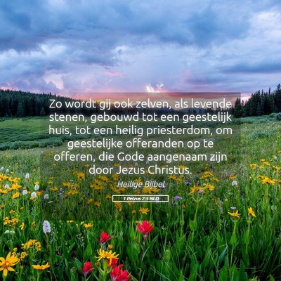Picture 05 - 1 Petrus 2:5 NLD - Zo wordt gij ook zelven, als levende stenen, - Bible Verse Picture