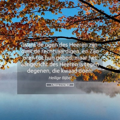 Picture 05 - 1 Petrus 3:12 NLD - Want de ogen des Heeren zijn over de - Bible Verse Picture
