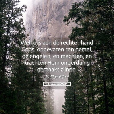 Picture 05 - 1 Petrus 3:22 NLD - Welke is aan de rechter hand Gods, opgevaren ten - Bible Verse Picture