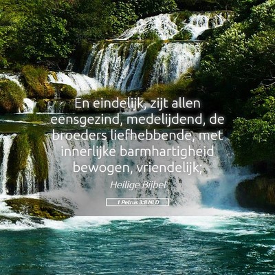 Picture 05 - 1 Petrus 3:8 NLD - En eindelijk, zijt allen eensgezind, medelijdend, - Bible Verse Picture