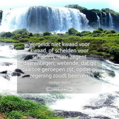 Picture 05 - 1 Petrus 3:9 NLD - Vergeldt niet kwaad voor kwaad, of schelden voor - Bible Verse Picture