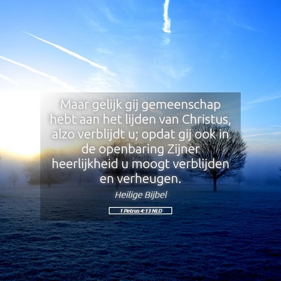 Picture 05 - 1 Petrus 4:13 NLD - Maar gelijk gij gemeenschap hebt aan het lijden - Bible Verse Picture