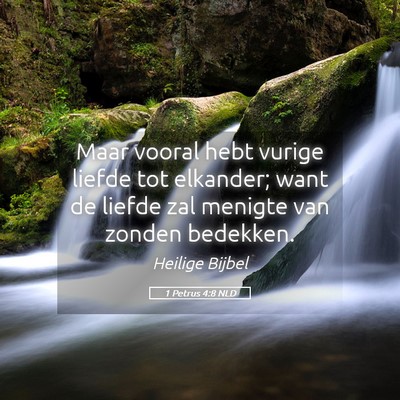 Picture 05 - 1 Petrus 4:8 NLD - Maar vooral hebt vurige liefde tot elkander; want - Bible Verse Picture
