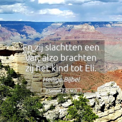 Picture 05 - 1 Samuël 1:25 NLD - En zij slachtten een var; alzo brachten zij het - Bible Verse Picture
