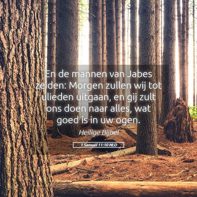 Picture 05 - 1 Samuël 11:10 NLD - En de mannen van Jabes zeiden: Morgen zullen wij - Bible Verse Picture