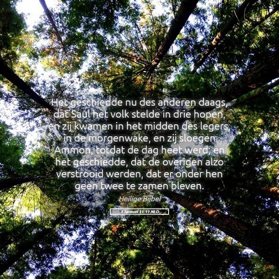 Picture 05 - 1 Samuël 11:11 NLD - Het geschiedde nu des anderen daags, dat Saul het - Bible Verse Picture