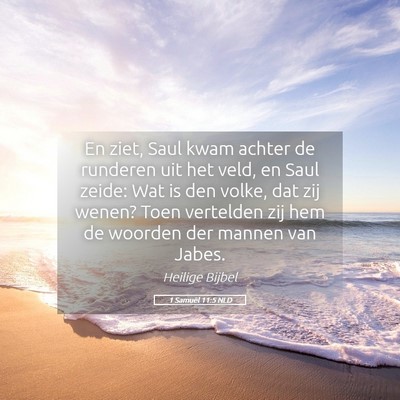 Picture 05 - 1 Samuël 11:5 NLD - En ziet, Saul kwam achter de runderen uit het - Bible Verse Picture