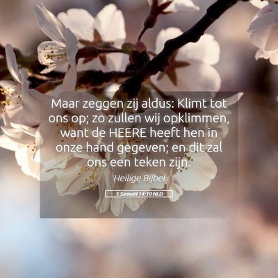 Picture 05 - 1 Samuël 14:10 NLD - Maar zeggen zij aldus: Klimt tot ons op; zo - Bible Verse Picture