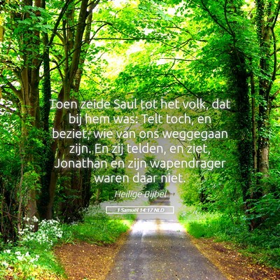 Picture 05 - 1 Samuël 14:17 NLD - Toen zeide Saul tot het volk, dat bij hem was: - Bible Verse Picture