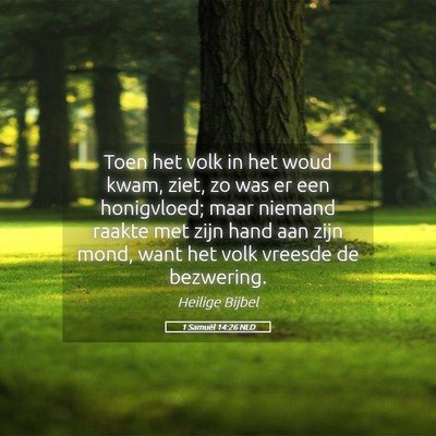 Picture 05 - 1 Samuël 14:26 NLD - Toen het volk in het woud kwam, ziet, zo was er - Bible Verse Picture