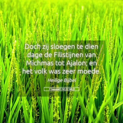 Picture 05 - 1 Samuël 14:31 NLD - Doch zij sloegen te dien dage de Filistijnen van - Bible Verse Picture