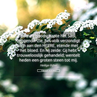 Picture 05 - 1 Samuël 14:33 NLD - En men boodschapte het Saul, zeggende: Zie, het - Bible Verse Picture