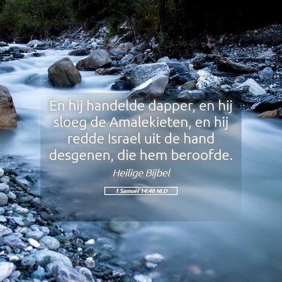 Picture 05 - 1 Samuël 14:48 NLD - En hij handelde dapper, en hij sloeg de - Bible Verse Picture