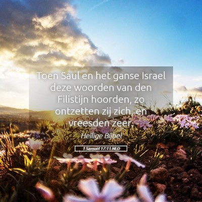 Picture 05 - 1 Samuël 17:11 NLD - Toen Saul en het ganse Israel deze woorden van - Bible Verse Picture